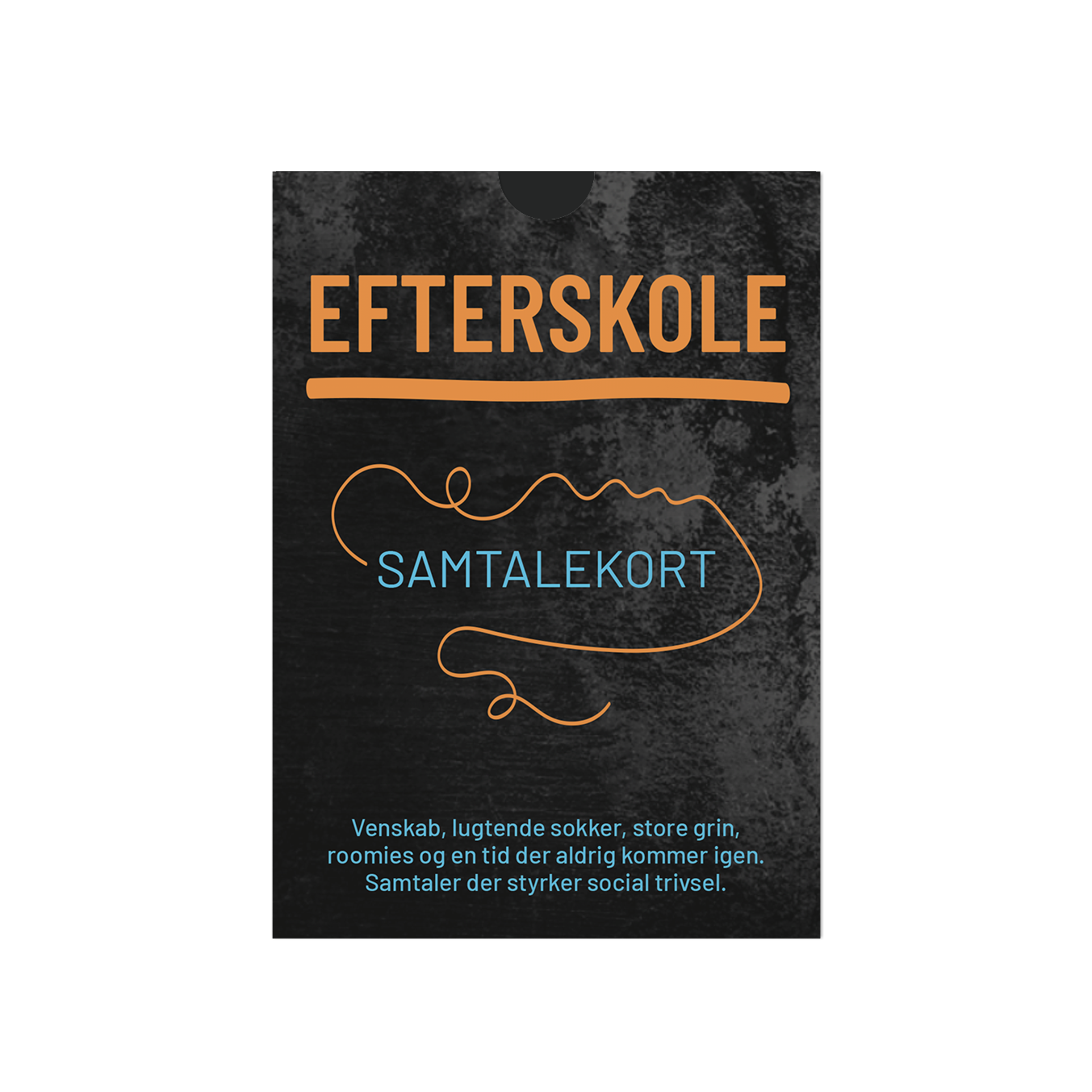 EFTERSKOLE - Samtalekort om livet på efterskole