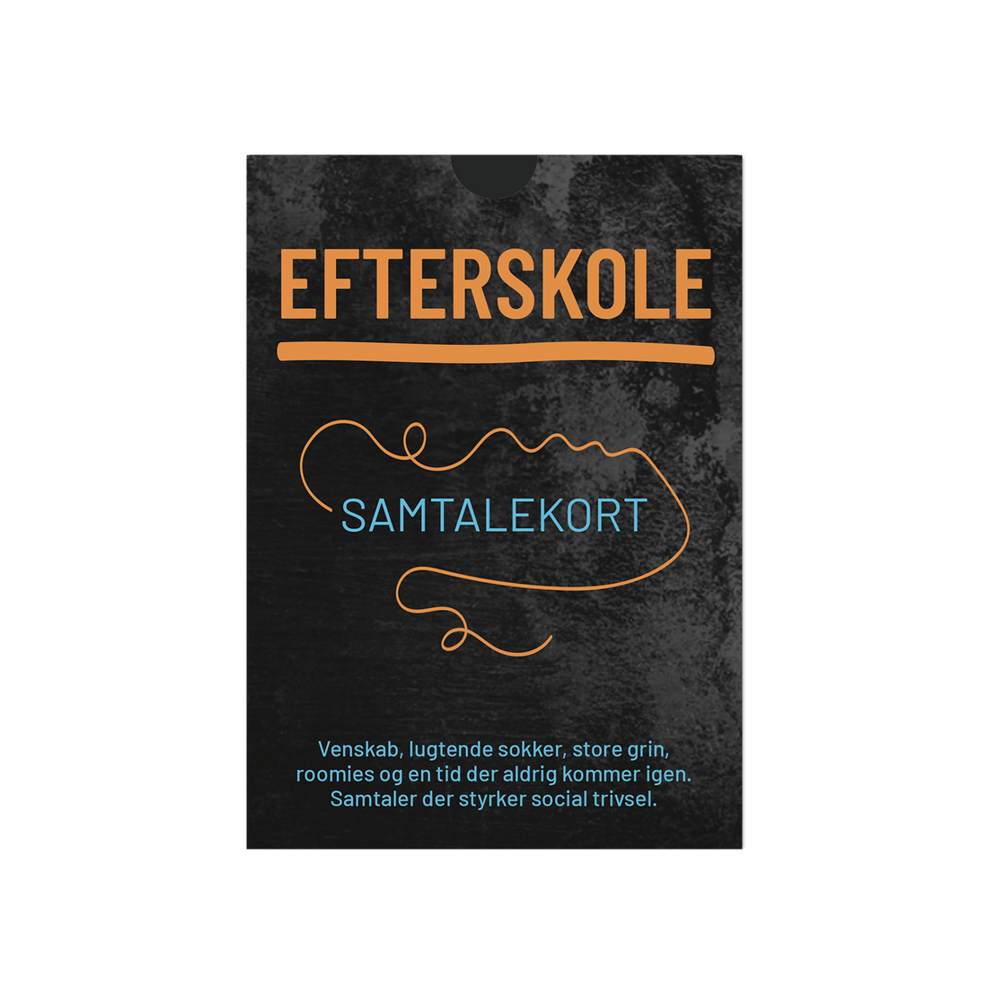 EFTERSKOLE - Samtalekort om livet på efterskole